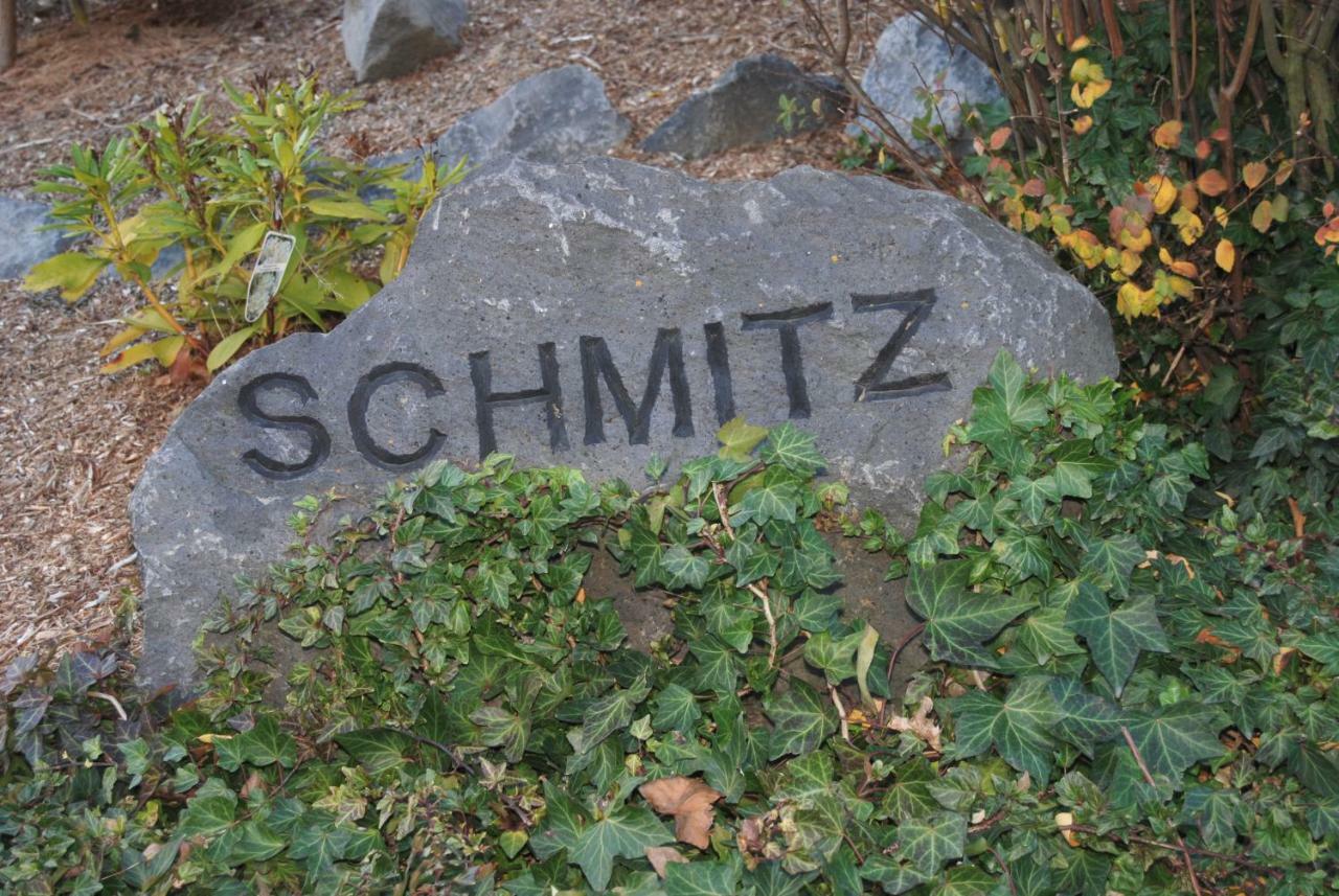 Ferienwohnung Schmitz Anschau Esterno foto